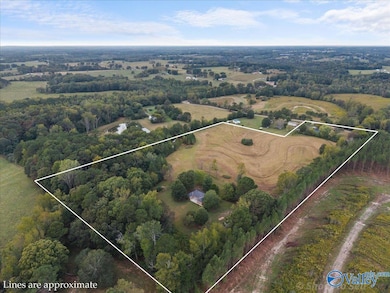 546 Hamm Rd, Blountsville, AL 35031 - photo 6