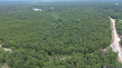 83166 Isabel Swamp Rd, Bush, LA 70431 - photo 2