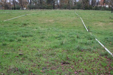 Pasture land in back