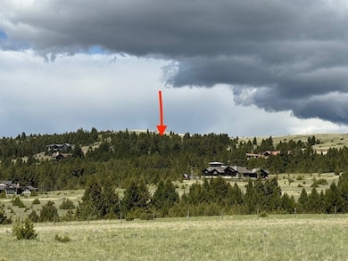 704 Flint View Rd, Deer Lodge, MT 59722 - photo 3