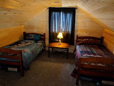 20 Willet Ln, Como, CO 80432 - photo 6