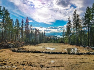 320 & NNA Towering Pines, Sagle, ID 83860 - photo 4