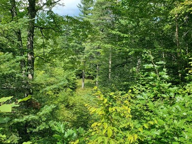 72 Effingham Rd, Ossipee, NH 03864 - photo 7