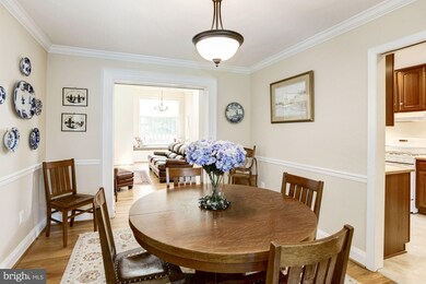 6906 Baylor Dr, Alexandria, VA 22307 - photo 7