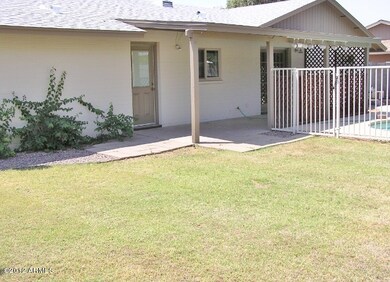 GRASSY PLAY AREA FOR KIDS & PETS