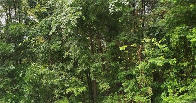 00042 Imes Ct unit 42, Cool Springs, NC 28625 - photo 2