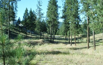 Kettle Falls Building Lot