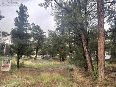 trees