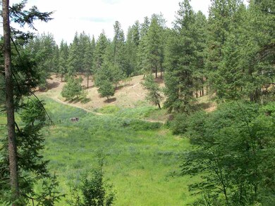 15901 N Freya St, Mead, WA 99021 - photo 5