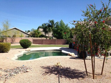 Backyard and Pool