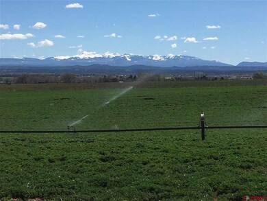 0 Road 23 5 unit 733933, Cortez, CO 81321 - photo 3