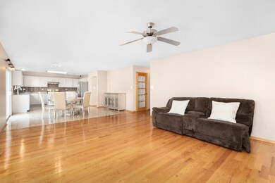 2619 Cedar Breaks Ct, Plainfield, IL 60586 - photo 6