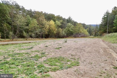 0 3 03 Ac Off Rt 259 Cove Mountain Rd unit WVHD2001754, Mathias, WV 26812 - photo 7