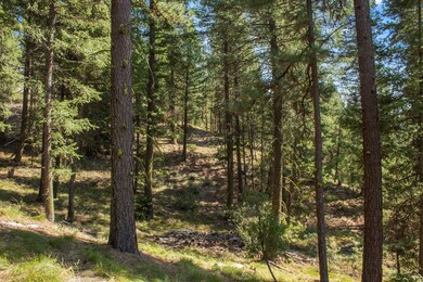 66 Truckee Trail unit 17, Cascade, ID 83611 - photo 7