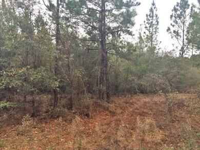 Hwy 85N 05