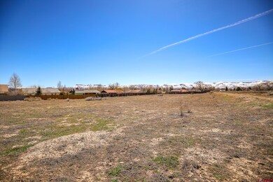 2155 Tucker Ln, Cortez, CO 81321 - photo 5