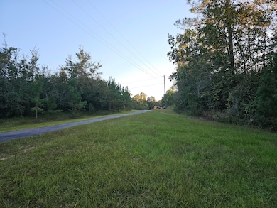 208 Red Top Rd, Lumberton, MS 39455 - photo 6