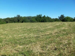 485 Wolf Springs Rd, Harrison, AR 72601 - photo 4