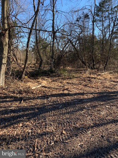 Lot #1 Old Plains Rd, Pennsburg, PA 18073 - photo 7