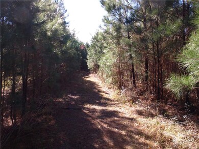 Gravel driveway on left side of lot