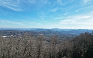Additional View