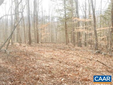 TBD Duncan Hollow Loop, Faber, VA 22938 - photo 4