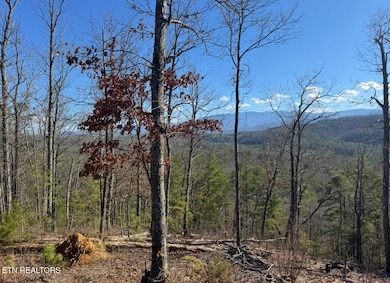 0 Overhill Way, Sevierville, TN 37876 - photo 5