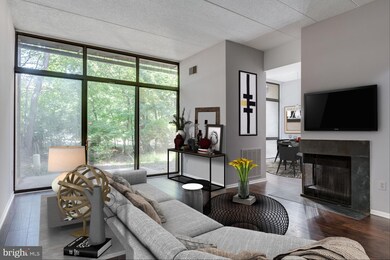 11559 Rolling Green Ct unit 101, Reston, VA 20191 - photo 3