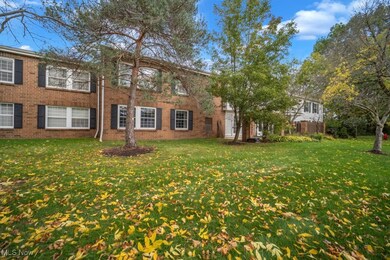 26175 Raintree Blvd unit D9, Olmsted Falls, OH 44138 - photo 2