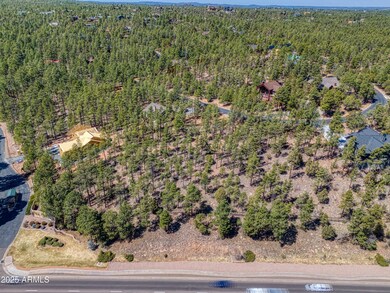 1550 Pine Oaks 3