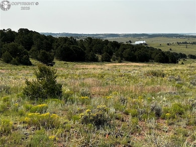 344 Cherokee Trail, Westcliffe, CO 81252 - photo 7