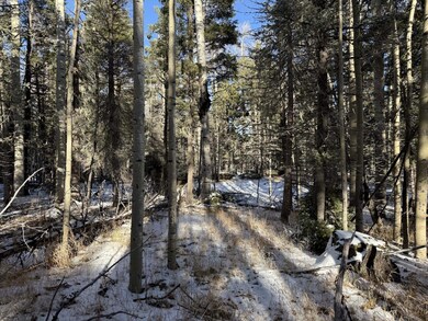 lot 99 Zia Rd, Angel Fire, NM 87710 - photo 7