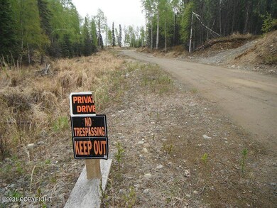 3730 W. Little Rain Rd.- Lot Pics.- #6