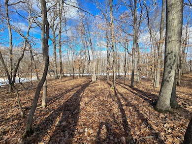 XXXX Julep Trail N, Columbus, MN 55025 - photo 4