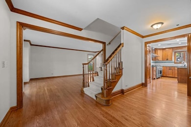 2248 Aster Ct, Naperville, IL 60565 - photo 4