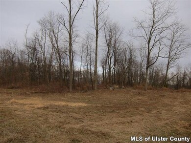 TBD Langridge Rd, Clermont, NY 12583 - photo 3