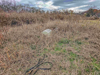 0 Fisherville Rd unit 10210138, Collierville, TN 38017 - photo 5