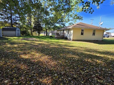 1110 Dewitt Ave, Niles, MI 49120 - photo 4