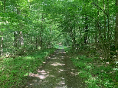 0 Eagle Nest Rd, Coxsackie, NY 12058 - photo 7