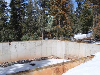 Foundation
