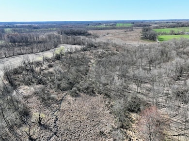 0 Vl Hoffman St unit LotWP001, Vandalia, MI 49095 - photo 3