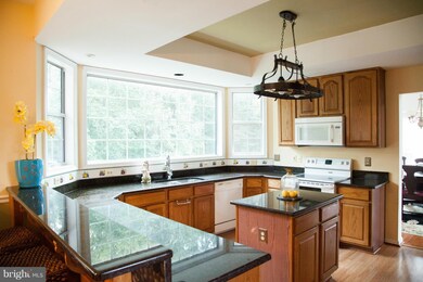 5 Harry Ct, Stafford, VA 22554 - photo 7