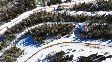 689 W Hunter Ridge Dr, Brian Head, UT 84719 - photo 4