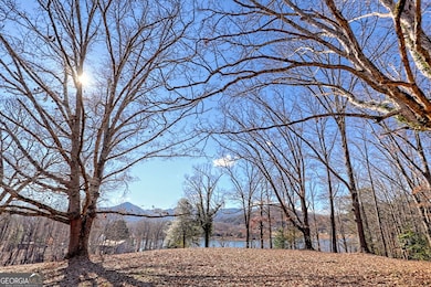 314 Lakeside Dr, Hiawassee, GA 30546 - photo 7