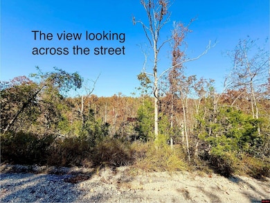 010-01589-000 Canmore Dr, Briarcliff, AR 72653 - photo 7