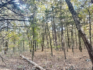 Tract 3 Benson Ln, Heavener, OK 74937 - photo 6