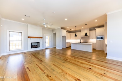 103 William Cove, Madison, MS 39110 - photo 2