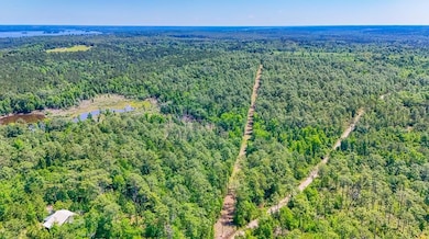 Dell Rd, Bainbridge, GA 39819 - photo 5