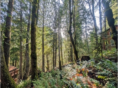 00971354 E Rolling Green Ct, Mount Hood Village, OR 97067 - photo 6