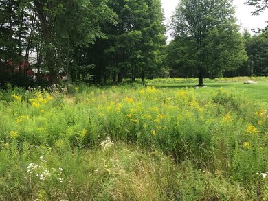 C23b23c,24 Williamsville Rd, Barre, MA 01005 - photo 2